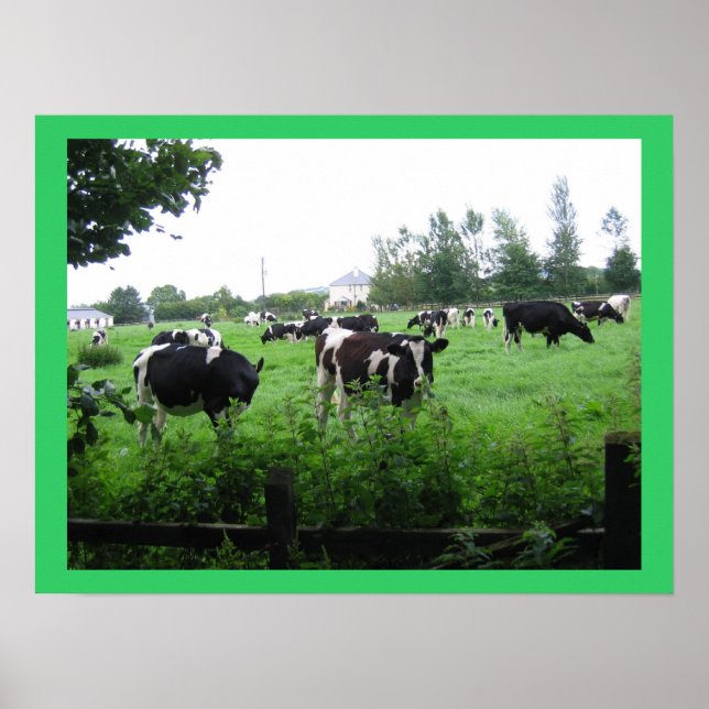 IMG_0722 POSTER (Vorne)