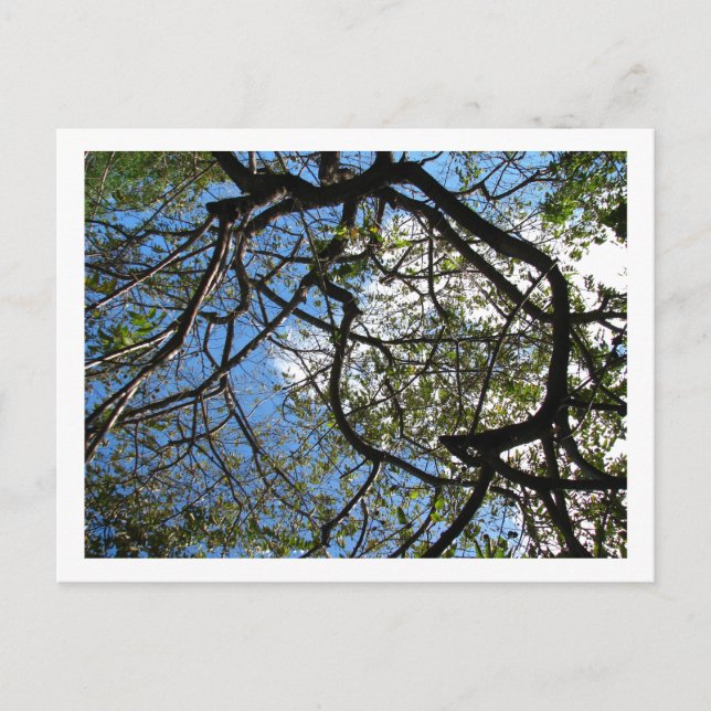 IMG_078 POSTKARTE (Vorderseite)