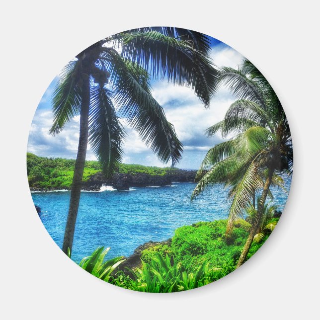 IMG_1122 4 Schwarzer Sandstrand von Hawaii Magnet (Vorne)