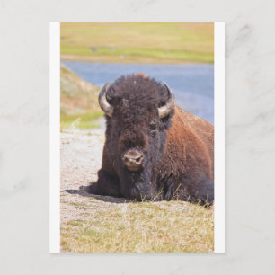 IMG_1227_1 POSTKARTE