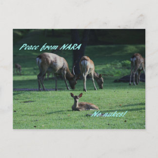 IMG_1652 NARA POSTKARTE