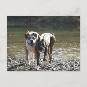 IMG_3178 POSTKARTE
