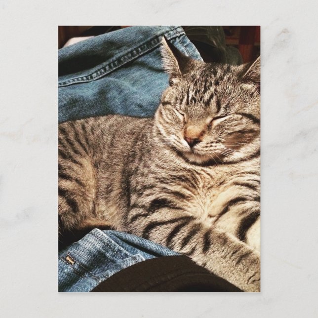 IMG_3960.JPG POSTKARTE (Vorderseite)