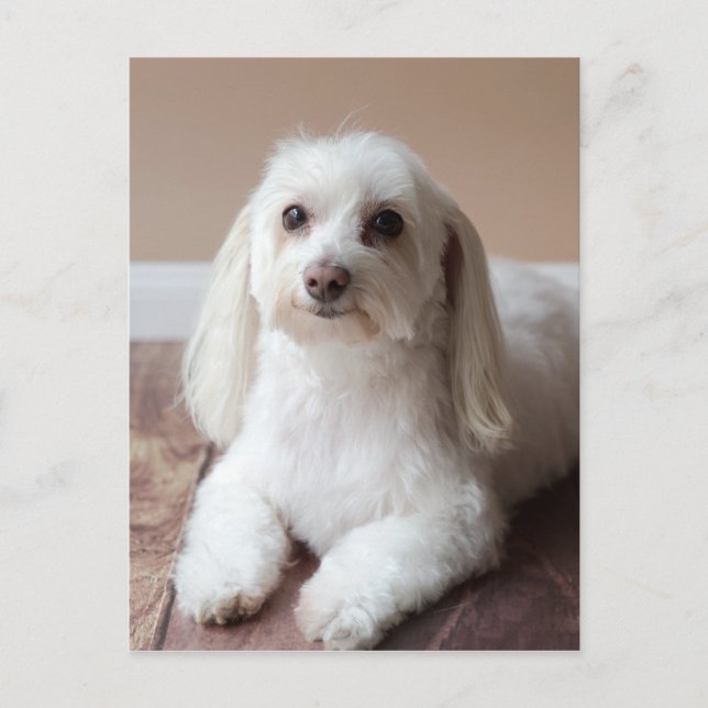 IMG_4050 POSTKARTE (Vorderseite)