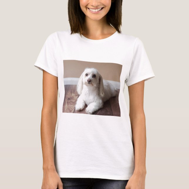 IMG_4050 T-Shirt (Vorderseite)