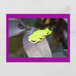 IMG_6159 POSTKARTE