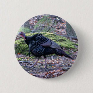 IMG_6278_edited Button