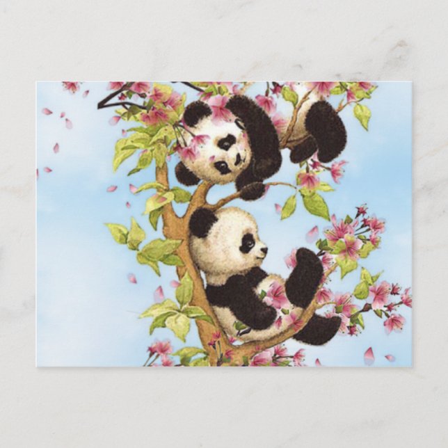 IMG_7386.PNG niedlicher und farbenfroher Panda Postkarte (Vorderseite)