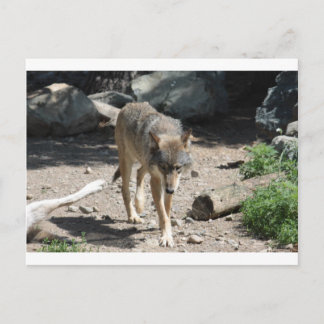 IMG_7805 POSTKARTE