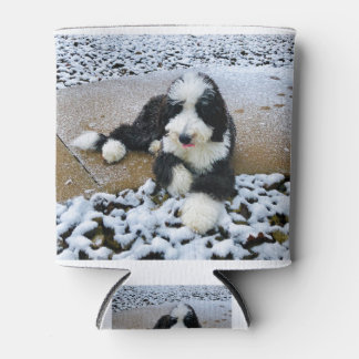 IMG_9916 DOSENKÜHLER