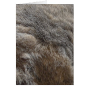 Imitat-Katzen-Pelzblick