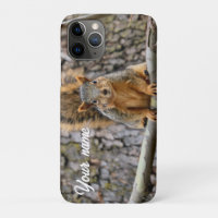 Imitate-Fuchs-Eichhörnchen