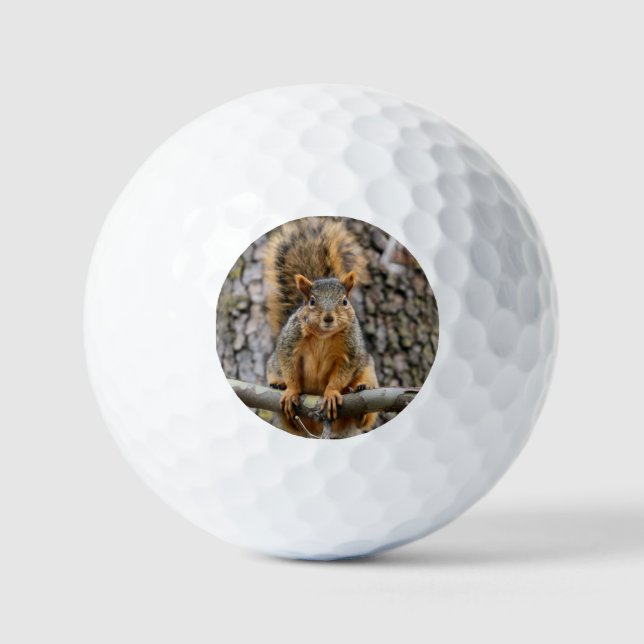 Imitate-Fuchs-Eichhörnchen Golfball (Vorderseite)