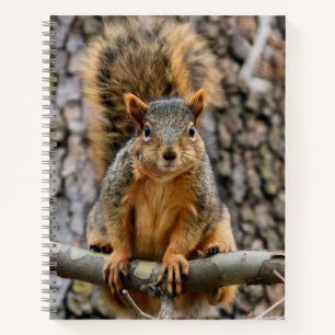 Imitate-Fuchs-Eichhörnchen Notizbuch