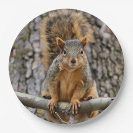 Imitate-Fuchs-Eichhörnchen Pappteller