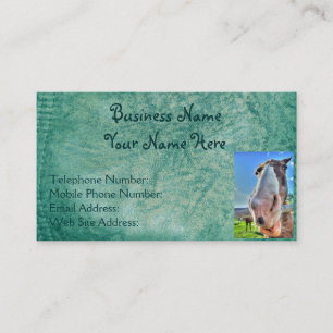 Imitate Green Leather & Happy Horse Design Visitenkarte