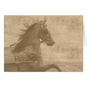 Imitate Vintag Hackney