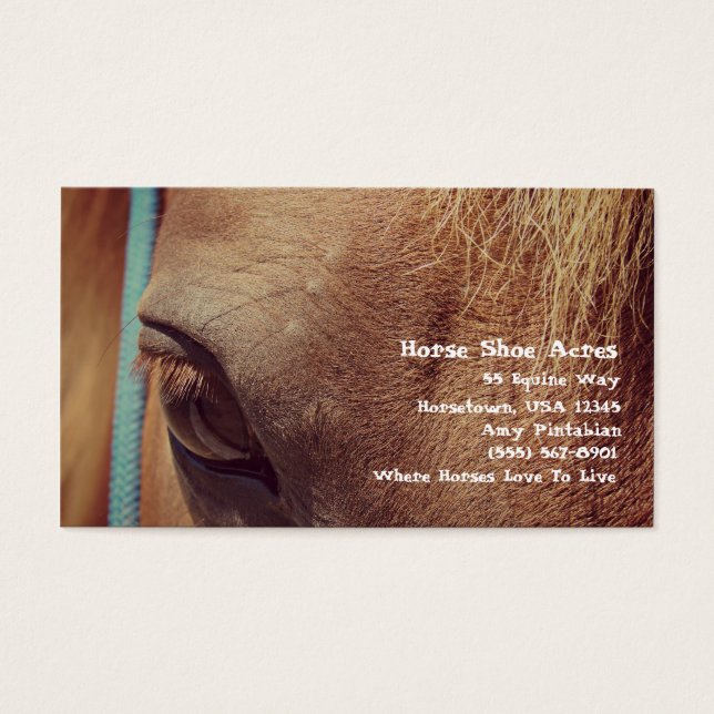 Imitate Vintag Sorrel Pferd (Vorderseite)