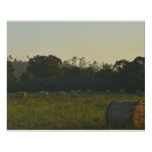 Bales rondes