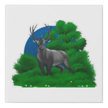 Cerf de Nuit |