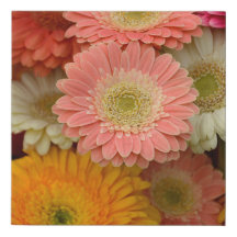 Gerbera Daisy Floral Canvas Imprimer