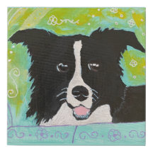 Happy border Collie