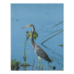 Imitation Canevas Heron debout dans l'eau - Photographie d'oiseaux