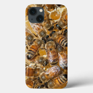 Imkerei auf Arlo's Honey Farm iPhone 13 Hülle