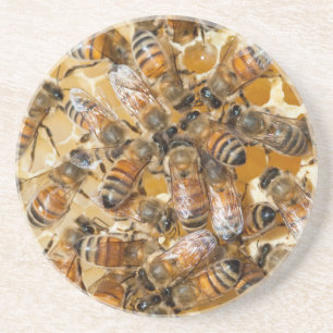 Imkerei auf Arlo's Honey Farm Sandstein Untersetzer