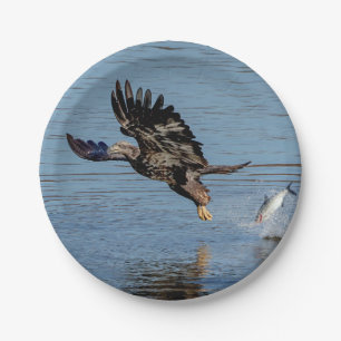 Immature Bald Adler fällt einen Fisch Pappteller