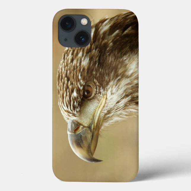 Immature Bald Eagle Case-Mate iPhone Hülle (Rückseite)