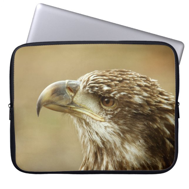 Immature Bald Eagle Laptopschutzhülle (Vorderseite)