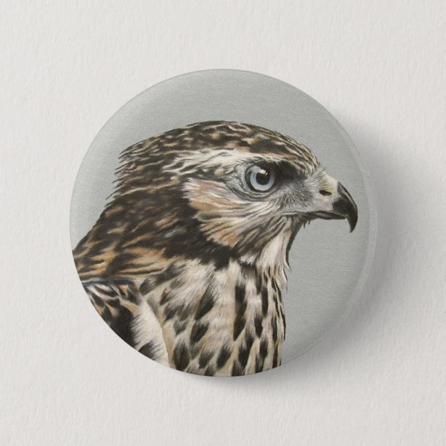Immature Goshawk Button (Vorderseite)