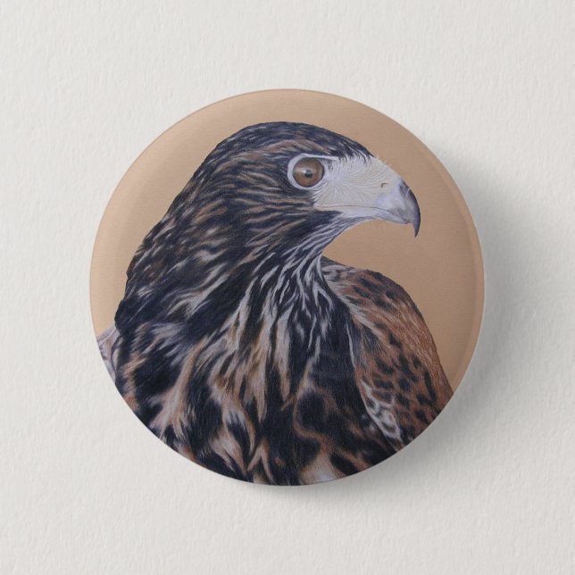 Immature Harris Hawk Button (Vorderseite)