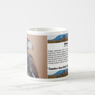 Immature Harris Hawk Kaffeetasse