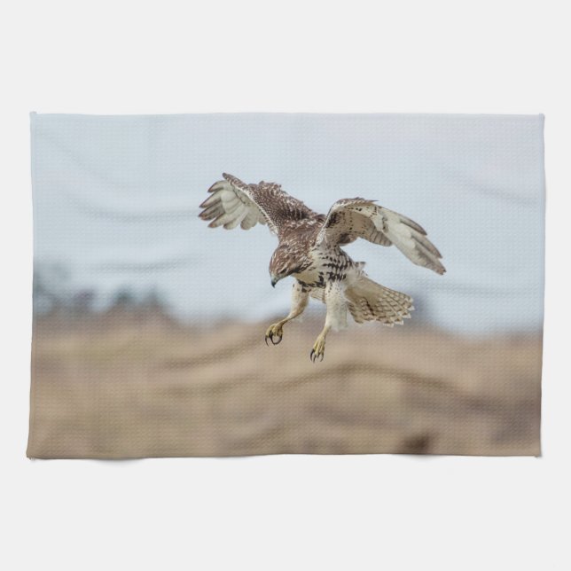 Immature Red Tail Hawk Hovering Küchentuch (Horizontal)
