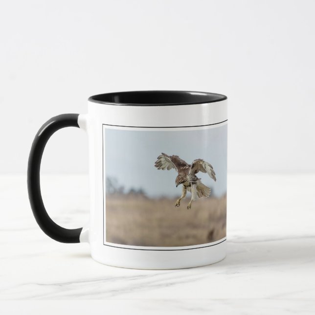 Immature Red Tail Hawk Hovering Tasse (Links)