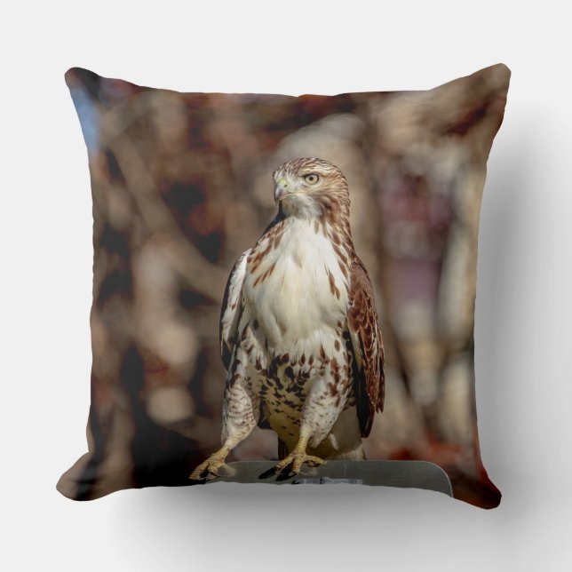 Immature Red Tail Hawk Kissen (Vorderseite)