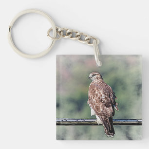 Immature Red Tail Hawk Schlüsselanhänger