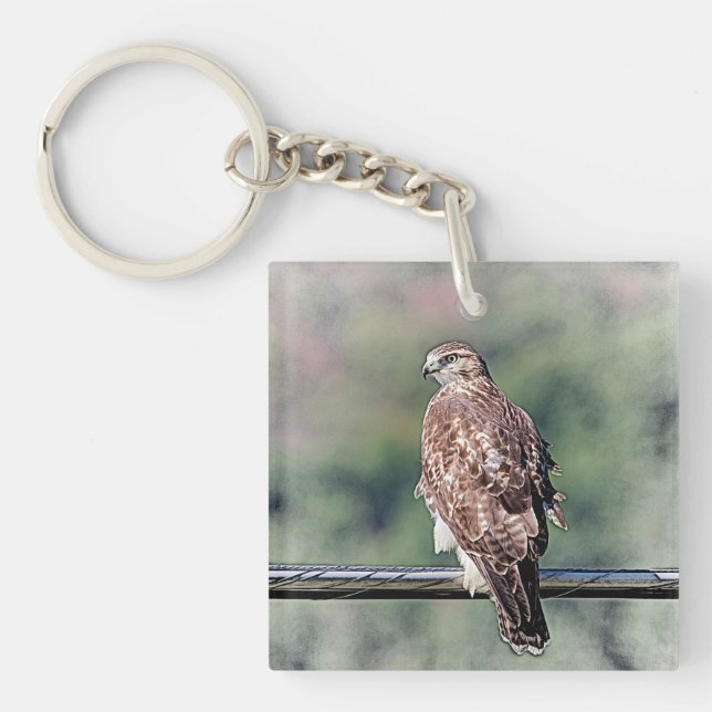 Immature Red Tail Hawk Schlüsselanhänger (Vorderseite)