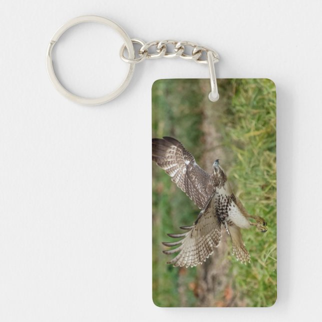 Immature Red Tail Hawk Schlüsselanhänger (Vorderseite)
