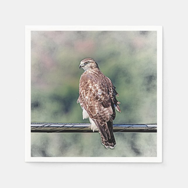Immature Red Tail Hawk Serviette (Vorderseite)