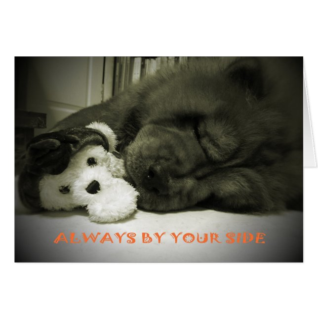 immer auf Ihrer Seite (Vorderseite (Horizontal))