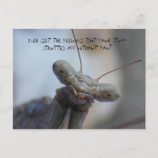 Immer das Gefühl, dass Ihr Zeug ... Postkarte