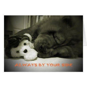 Immer durch Ihre Seite