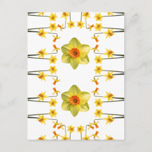 Immer Frühling Postkarte