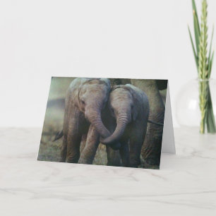 IMMER HIER FÜR SIE KARTE