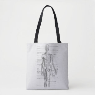 Immer lernend: Menschlicher Tasche