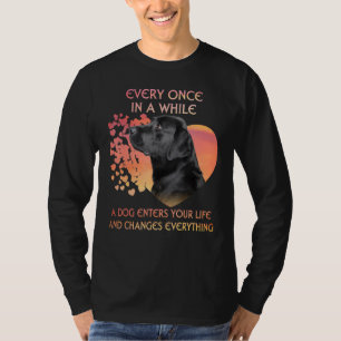 Immer mal wieder kommt ein schwarzer Labrador auf T-Shirt
