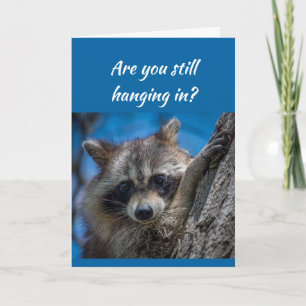 Immer noch durchhalte Ich bin für dich Waschbär Karte